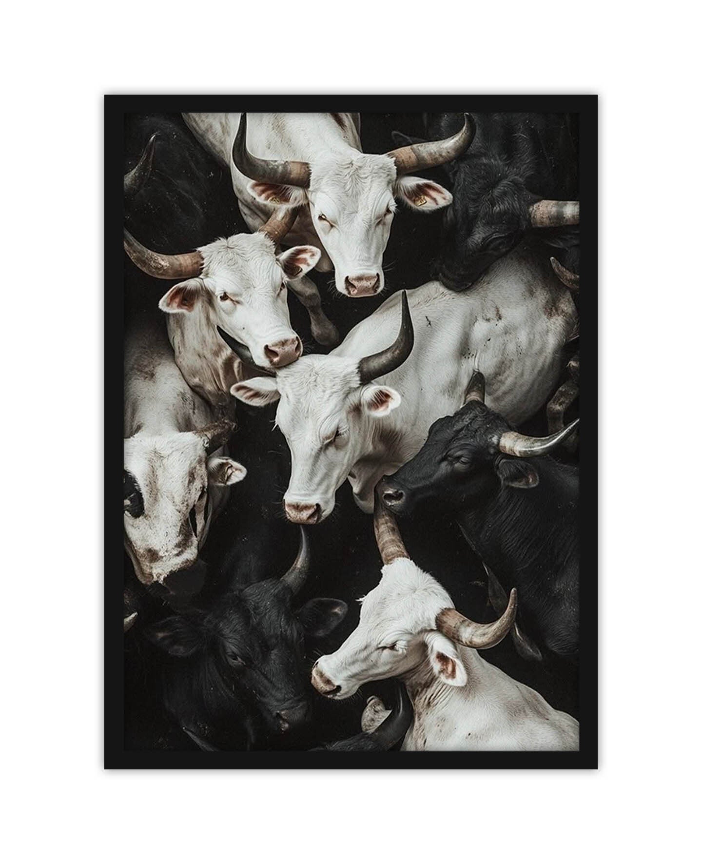 Cows