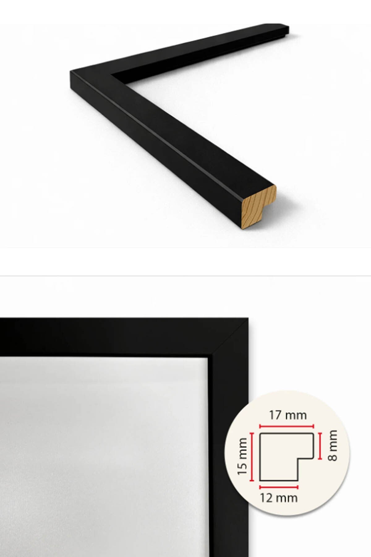 Curious-Sushi-Cat