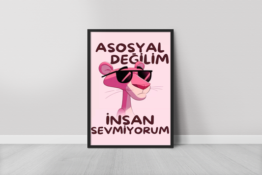 Sevmiyorum