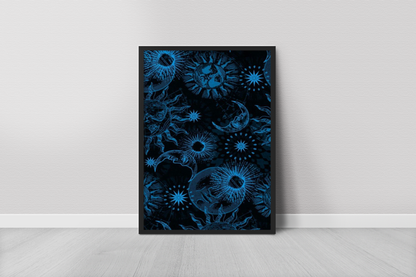 Space Galaxy Constellation