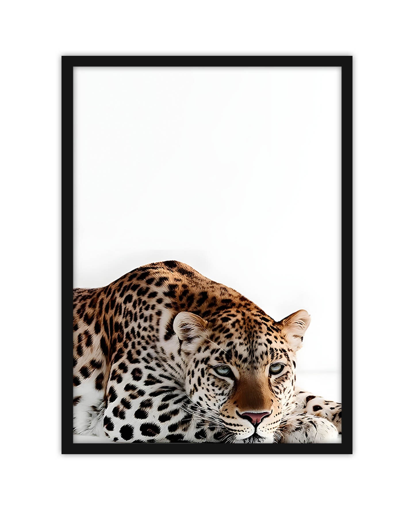 Tiger_2