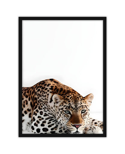Tiger_2
