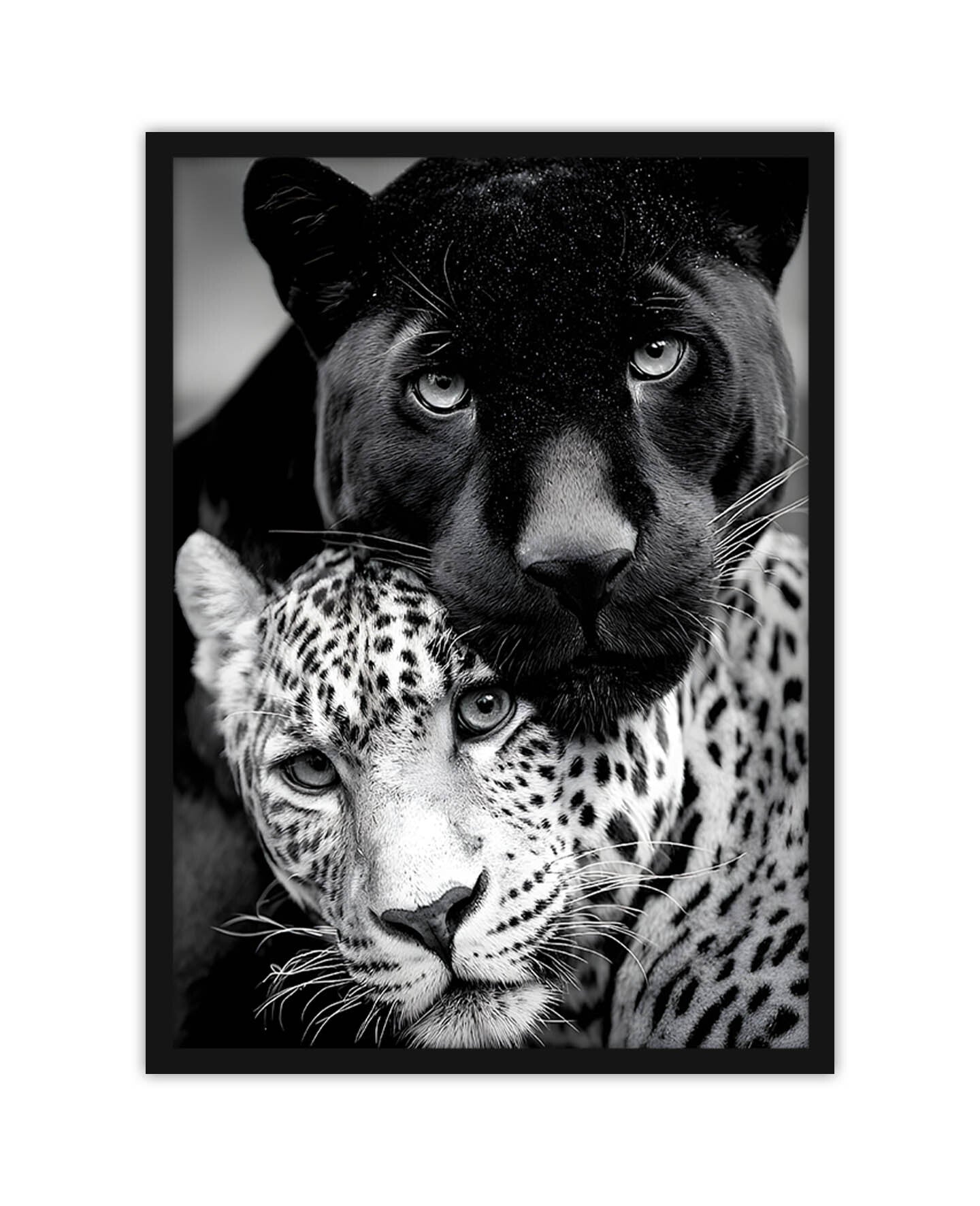 Tiger_3