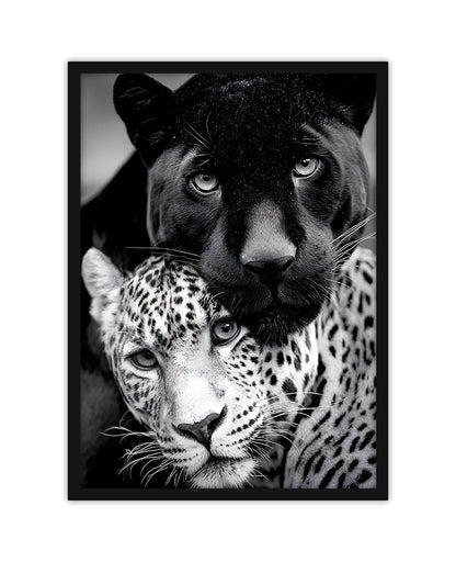 Tiger_3