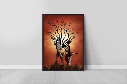 Zebra_1
